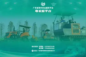 县农业局监管员操作指引视频封面