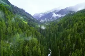 敢于向黑暗宣战的人，心里必须充满光明。视频封面
