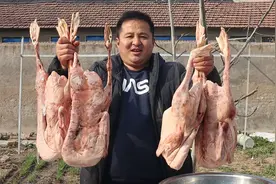 680元买了4个大鹅，做个地道东北“铁锅炖大鹅”，满满的柴火味视频封面
