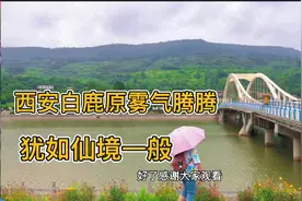 实拍西安西蓝旅游专线，白鹿原雾气腾腾，犹如仙境一般视频封面