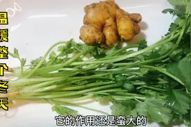 香菜加生姜用水一煮，作用真厉害，解决很多人的烦恼，省钱又实用