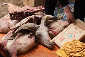 蒙古族的帅哥是怎么娶新娘的？？？视频封面
