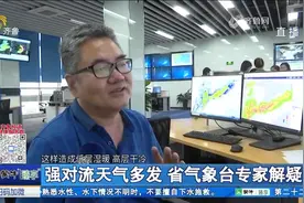 强对流天气来袭，山东发布雷电大风黄色预警，多地出现12级大风视频封面