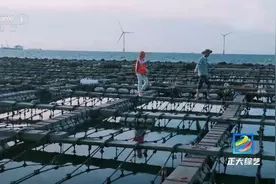 海中“猎手”→海上“牧民”：这种养鲍鱼的方式你见过吗？视频封面