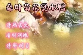 广东秋季润燥汤，桑叶菊花煲水鸭，清肝明目，滋阴润肺，清热解毒