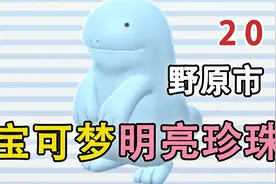嗨氏《宝可梦：明亮珍珠》20野原市视频封面