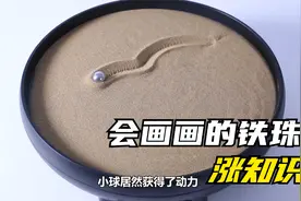 几个简单有趣的亲子互动游戏推荐，在家陪孩子轻松涨知识！视频封面