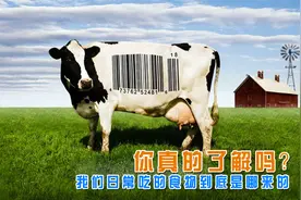 你真的知道吗？我们日常吃的食物，到底从何而来？！视频封面