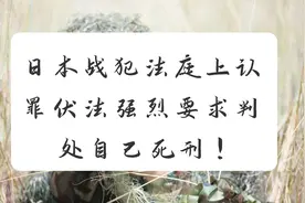 日本战犯法庭上认罪伏法强烈要求判处自己死刑！【转载】视频封面