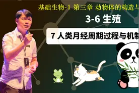 基础生物学3-6.7 人类月经周期过程与机制（图示）视频封面