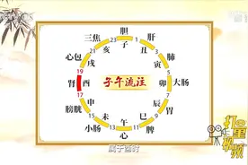 中医讲究子午流注，即人体十二经脉与十二时辰相对应丨健康之路视频封面