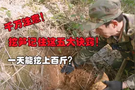 挖笋千万记住这五条诀窍！一天能挖上百斤，挖冬笋也可以这么简单视频封面