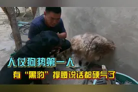 他把“人仗狗势”演绎到淋漓尽致，有黑豹撑腰说话都硬气了视频封面