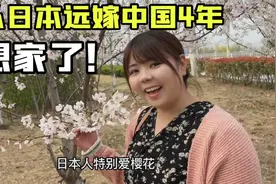 带日本媳妇进城了看樱花！四年没见，媳妇都快不认识故乡的花了视频封面