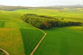 【休闲放松减压】半匹红纱一丈绫，系向牛头充炭直视频封面