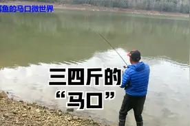 三耳鱼的马口微世界  三四斤的“马口”视频封面