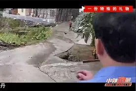 小女儿终于找到啦，到底她当年发生了什么？视频封面