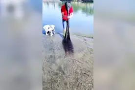 快来看看比人还长的头发应该怎么洗 - 海外10亿点击视频合集