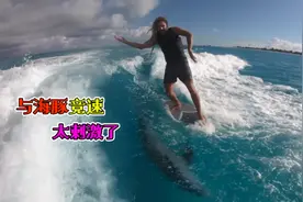 男子海上冲浪，偶遇调皮的小海豚，海豚的反应太搞笑了视频封面