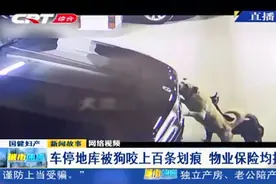 奔驰车停地库遭“毒手”，被狗咬出上百条划痕，物业保险均拒赔视频封面
