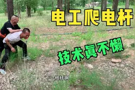 农村家里电线被风刮断，电工师傅踩脚扣爬杆维修，这技术真牛视频封面