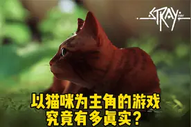以猫咪为主角的游戏究竟有多真实？盘点《迷失》真实细节视频封面
