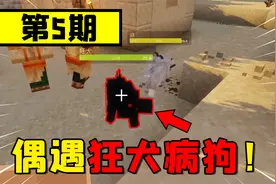 MC信仰生存5：白狗打不过黑狗？旅行背包丢失后我一无所有！视频封面