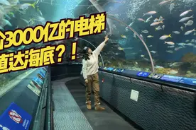 造价3000亿的电梯可直达海底！？上海海洋水族馆全纪录！海底世界