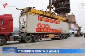广东启用供港生鲜产品水运新通道视频封面