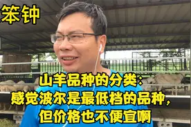 山羊品种的分类：感觉波尔是最低档的品种，但价格也不便宜啊视频封面