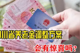 四川养老金方案迟迟未出，降低标准还是惊喜连连？拭目以待视频封面