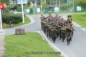 浙江经济频道铭门将帅军事夏令营视频封面