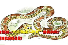 老话说“蛇吃黄鳝，找死”，蛇为何不能吃黄鳝？黄鳝真是蛇天敌？视频封面