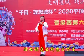 女黑头王玉珍豫剧《包龙图坐监》选段，披枷锁受大刑怒火万丈！视频封面