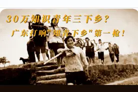 知青下乡再现？广东打响第一枪！三十万青年，下乡返乡兴乡！视频封面