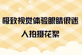 极致视觉体验眼睛很迷人拍摄花絮【转载】视频封面