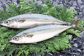 补钙还防癌，维生素D到底有多重要？这5种食品帮你快速补充视频封面
