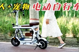 迷你型城市宠物代步自行车！内嵌宠物笼能装猫狗，时速37公里！视频封面