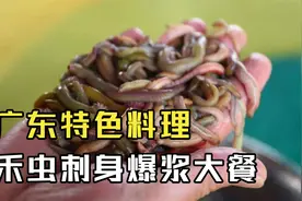 广东特色料理，禾虫刺身爆浆大餐，本地人都不一定敢吃视频封面
