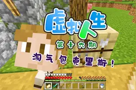 我的世界虚拟人生16：我的儿子太淘气，拿着斧头，把家都拆了！