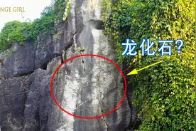 贵州深山一石壁上发现神秘龙化石，据说已有上亿年历史，价值连城视频封面