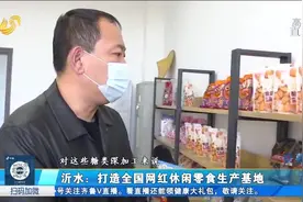 网红零食，山东制造！探访沂水生产基地，零食品类多样，性价比高视频封面