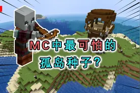 我的世界：MC最难生存的孤岛种子，一出生就被掠夺者围殴？视频封面