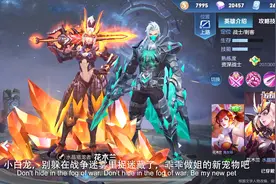 耀哥游戏：花木兰与兰陵王台词彩蛋，韩信要哭了，莫名躺枪视频封面