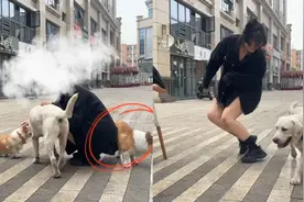 女生和狗子拍照，被两条狗尿身上！狗：我们一起“浇”朋友视频封面