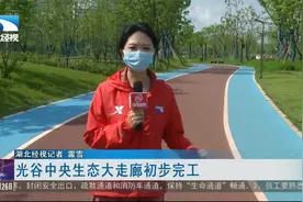 【5G连线】光谷中央生态大走廊初步完工视频封面