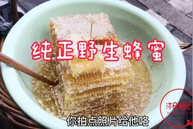 湘西大山散养蜂蜜110元一斤，小伙伴帮同事代购一斤，这个价值吗视频封面