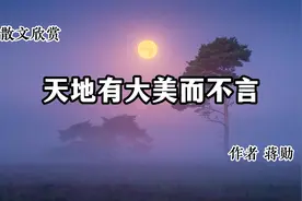 散文欣赏 《天地有大美而不言》 作者 蒋勋视频封面