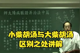 伤寒论：小柴胡汤与大柴胡汤，区别之处讲解视频封面