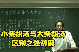 伤寒论：小柴胡汤与大柴胡汤，区别之处讲解视频封面